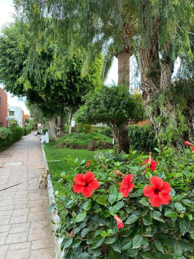 Casa Armonia Del Sol Βίλα San Bartolomé Εξωτερικό φωτογραφία